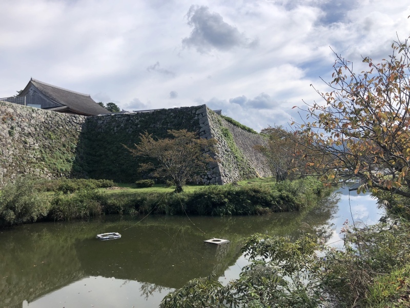 d0282139_15125178.jpeg