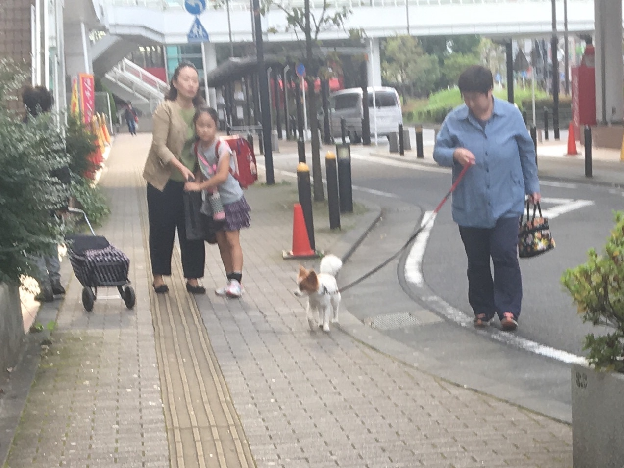 b0330040_17210385.jpeg