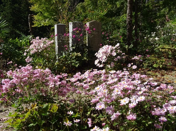 b0299042_13264369.jpg