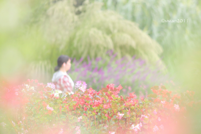 壬生町 絵のような写真を撮ろう in わんぱく公園_e0227942_22312309.jpg