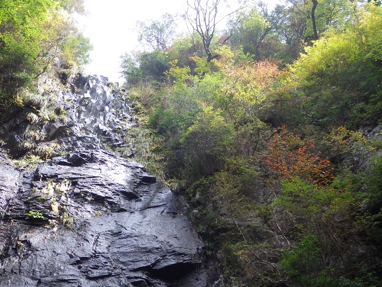 e0164643_20133007.jpg