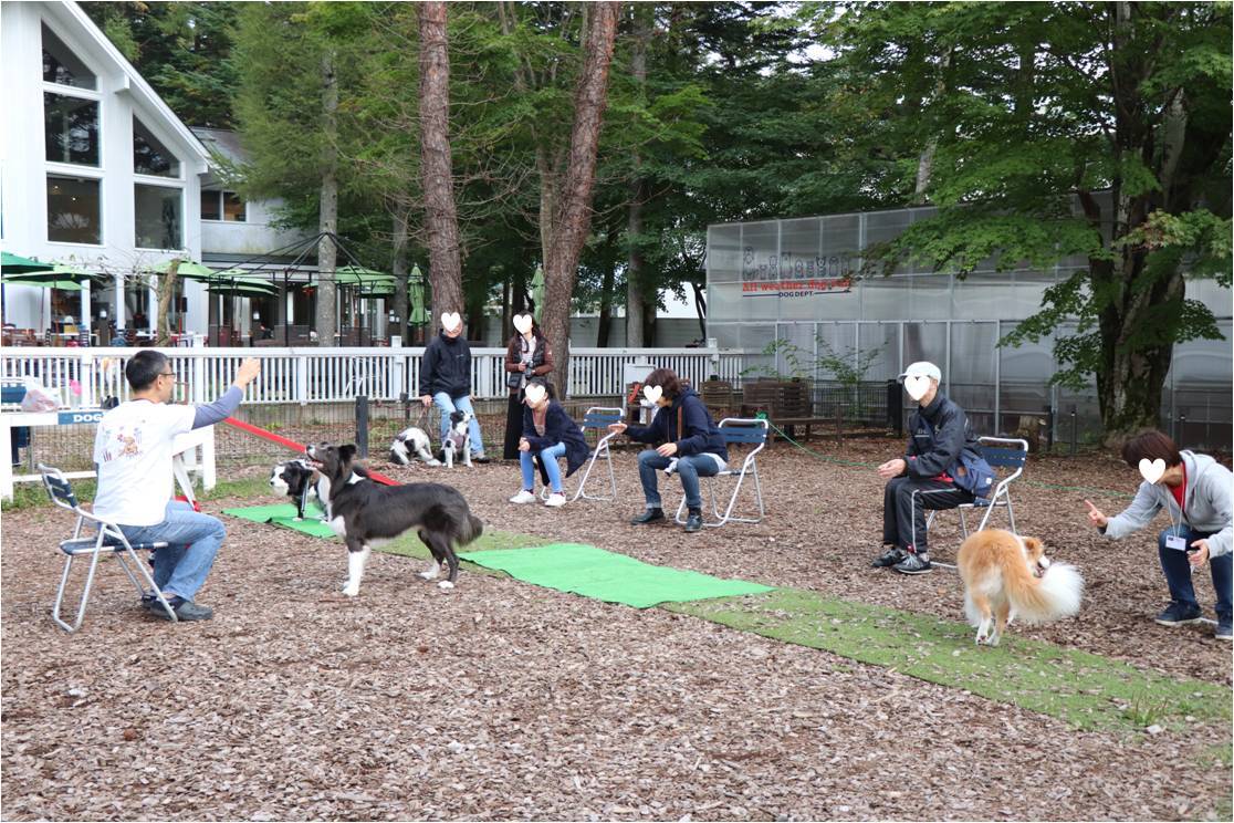 ゆるゆるボーダー☆犬の運動会でよかった♪_b0245048_07575261.jpg