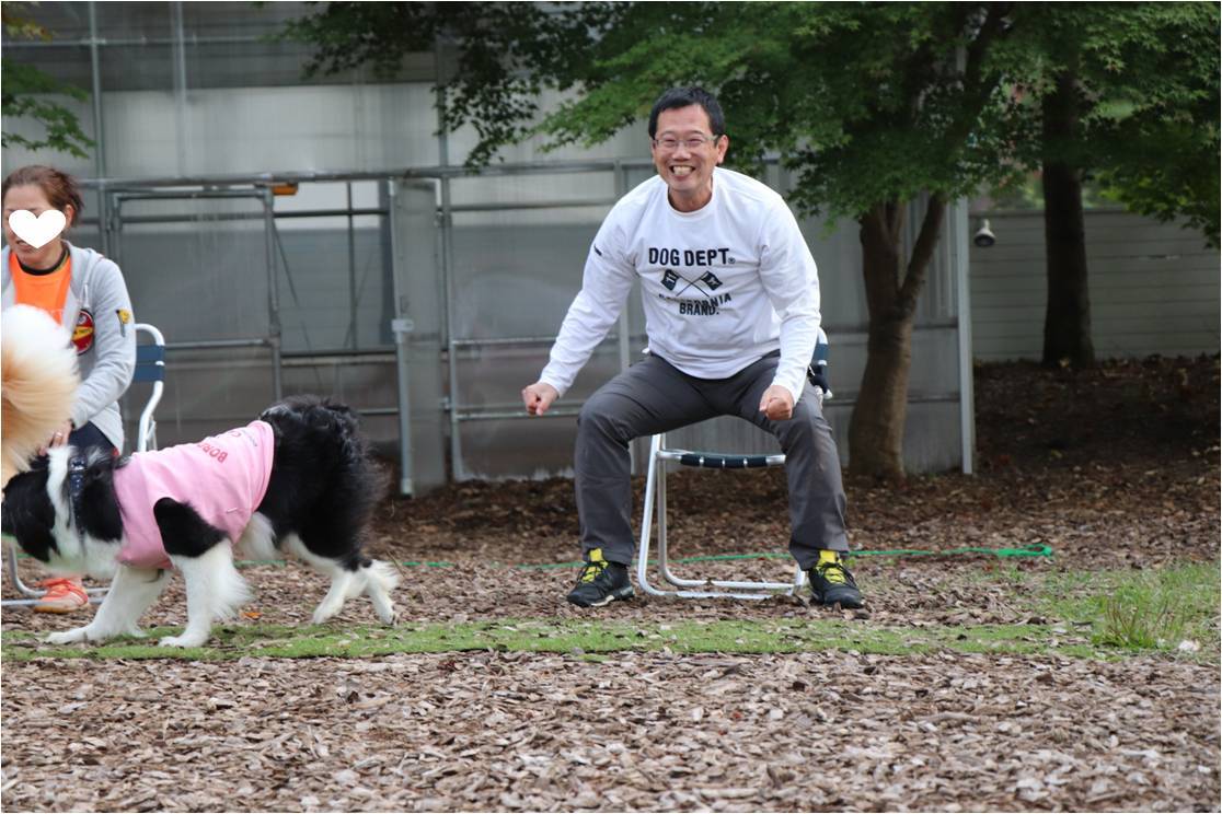 ゆるゆるボーダー☆犬の運動会でよかった♪_b0245048_08153476.jpg