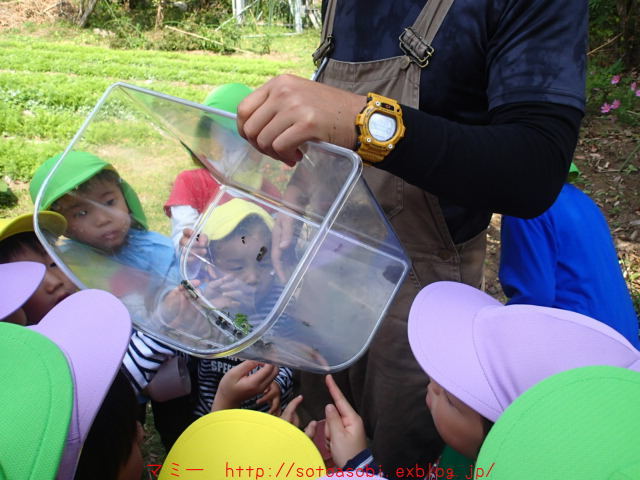 d0105749_13563609.jpg