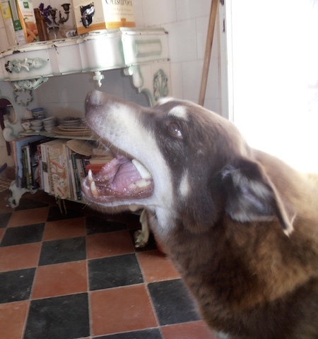 b0396150_12335200.jpeg