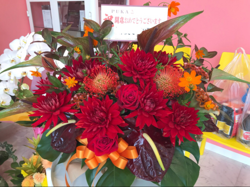美容室の開店祝い Flowers 請西東のお花屋さん