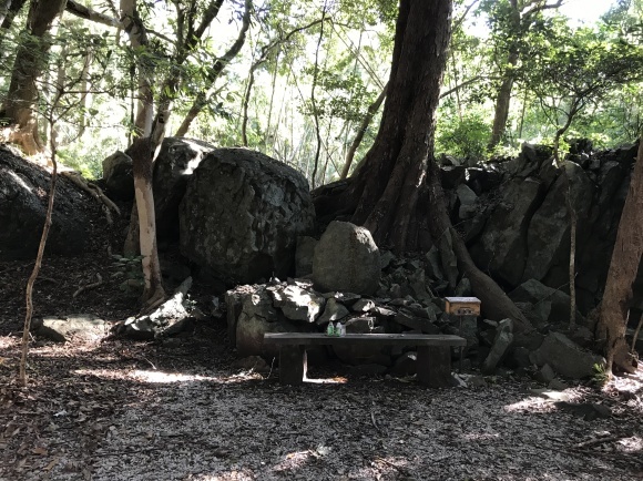 対馬の豊玉姫～和多都美神社_d0082655_02530756.jpg