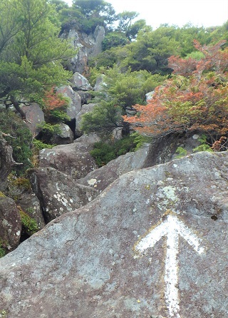 b0335256_10191460.jpg