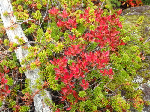 b0335256_10200656.jpg