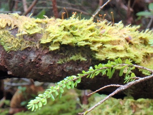 b0335256_10211644.jpg