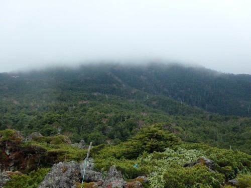 b0335256_10240057.jpg