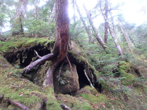 b0335256_10264408.jpg