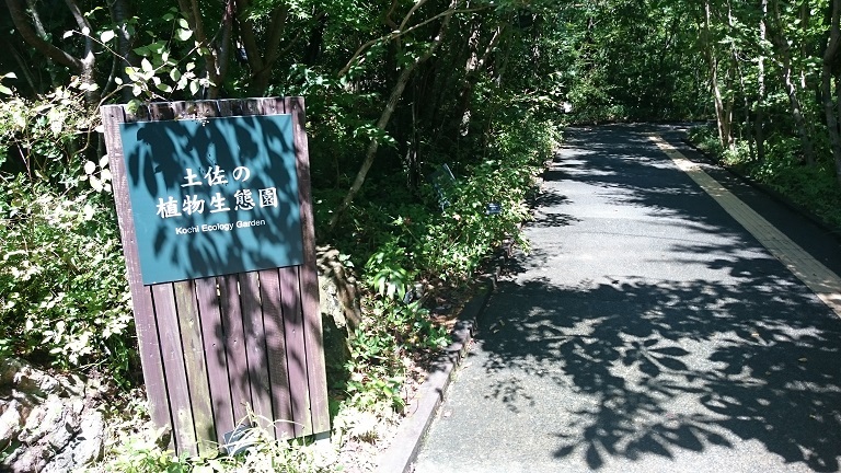 高知を散策してきました。_a0138757_12523025.jpg