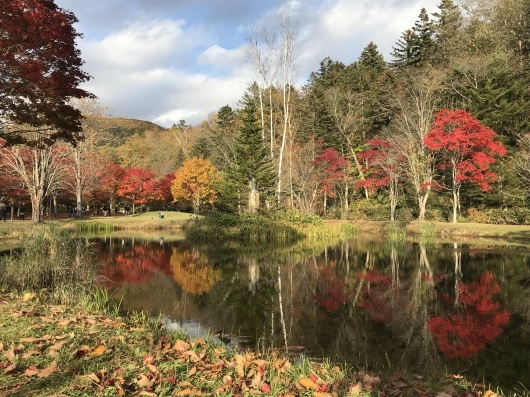 北海道で久々息抜きしてきました。_d0352658_11362889.jpg