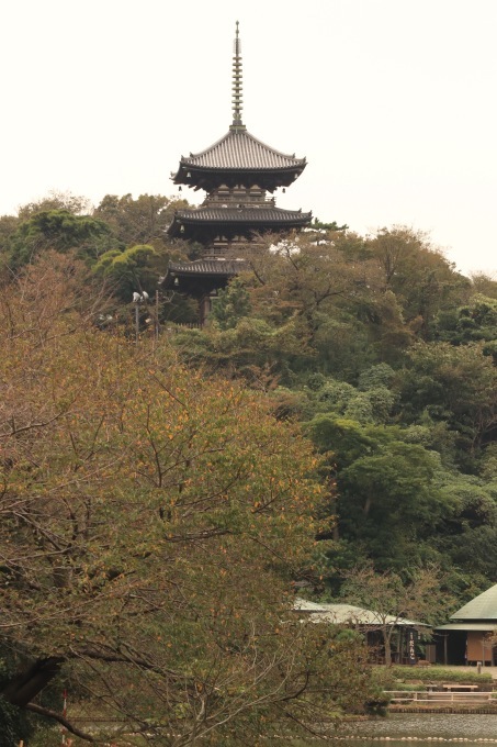 a0248459_19354601.jpg