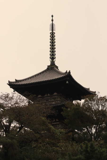 a0248459_19411078.jpg
