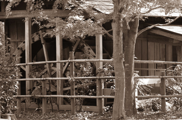 d0389159_20252833.jpg