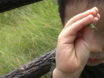 a0295764_22525886.jpeg