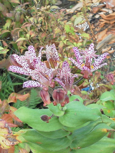 f0256164_12201952.jpg