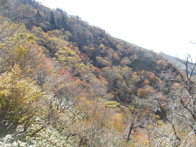 2018.10.15～16　次郎笈1930ｍ～剣山1955ｍ～一ノ森1879ｍ～槍戸山1820ｍ_c0219866_08332985.jpg