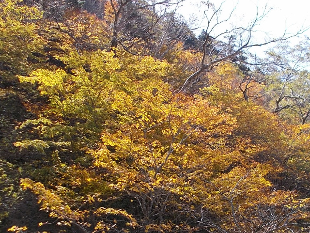 c0219866_08335344.jpg