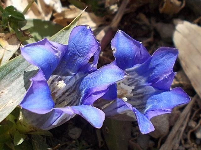 c0219866_08372517.jpg