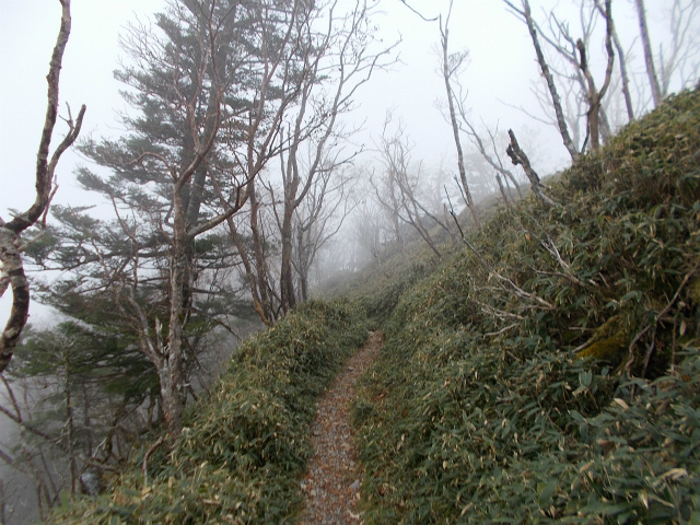 2018.10.15～16　次郎笈1930ｍ～剣山1955ｍ～一ノ森1879ｍ～槍戸山1820ｍ_c0219866_08433270.jpg