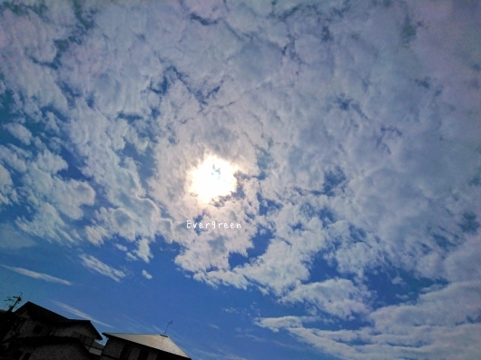 d0362666_09272367.jpg