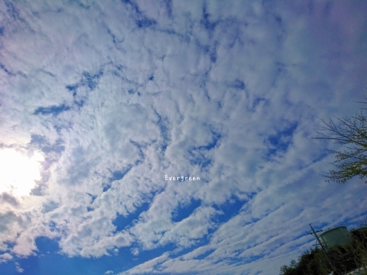 d0362666_09273623.jpg