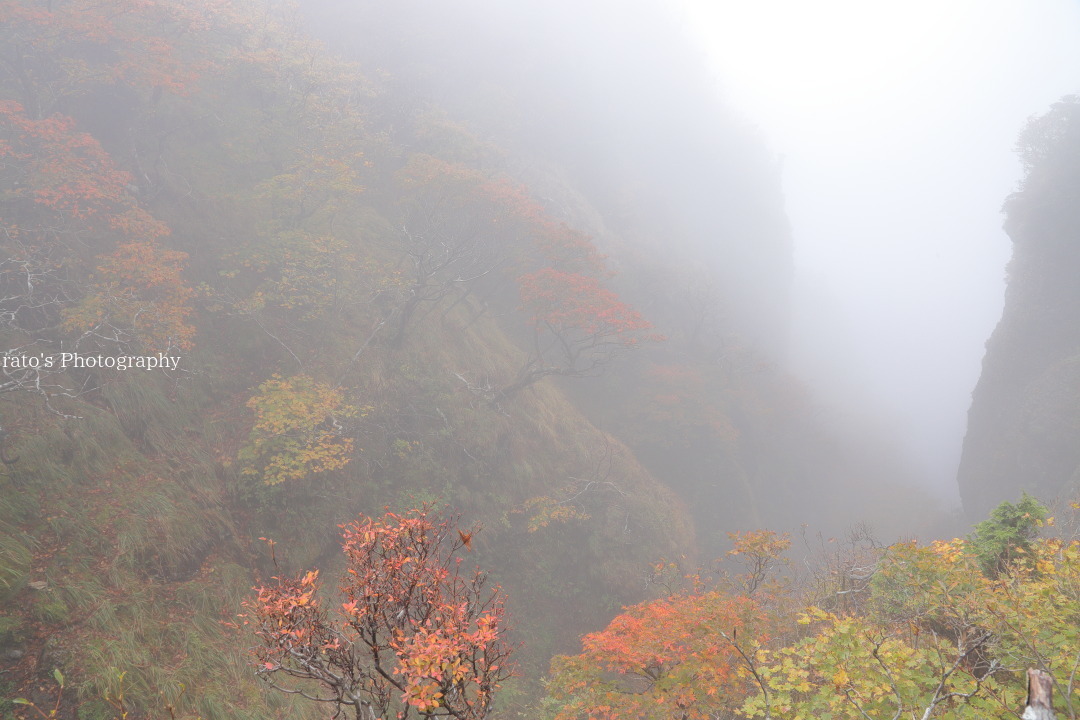 f0236776_18261552.jpg