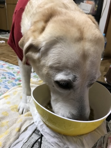 f0315081_18324613.jpeg