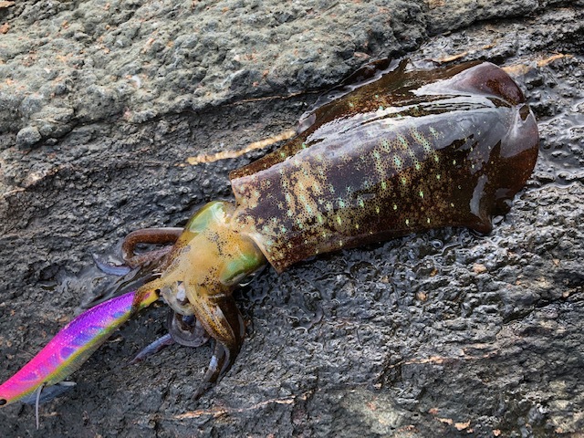 e0192884_10201529.jpg