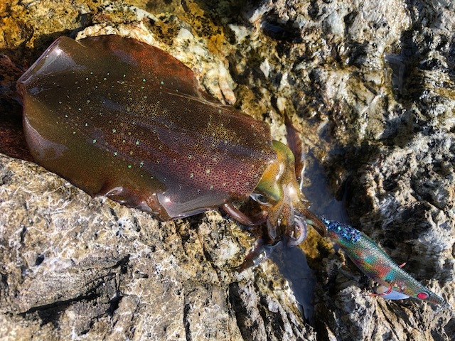 e0192884_10215010.jpg