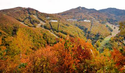 b0194185_21591036.jpg