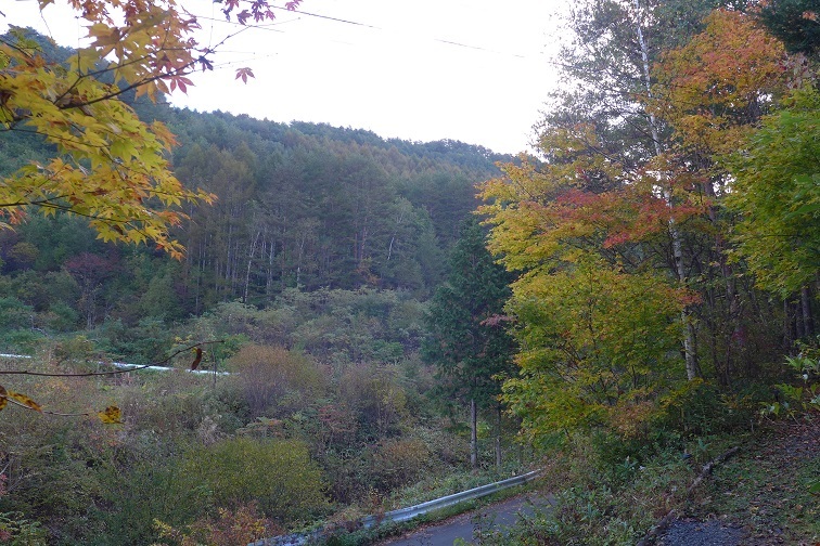 a0130586_09002577.jpg