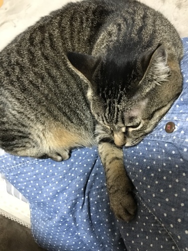 c0340786_20211649.jpeg