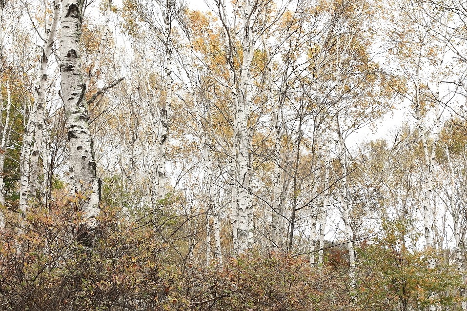 d0130286_23181071.jpg