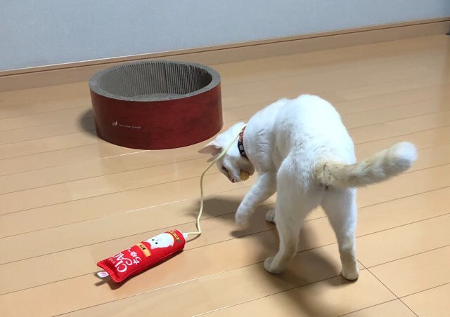 b0035391_23591358.jpeg