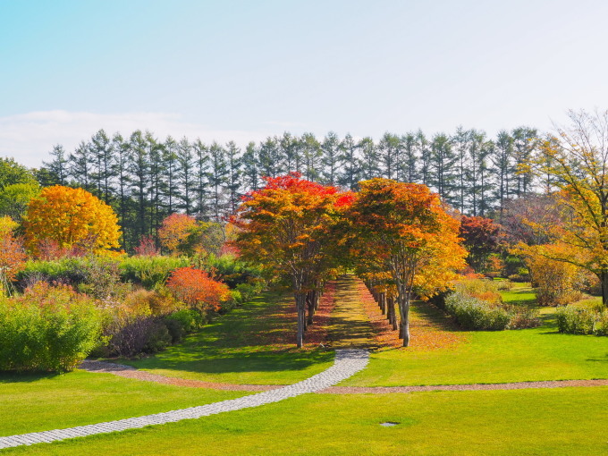 秋深まった美術村庭園と新札内丘陵からポロシリ岳_f0276498_22335800.jpg