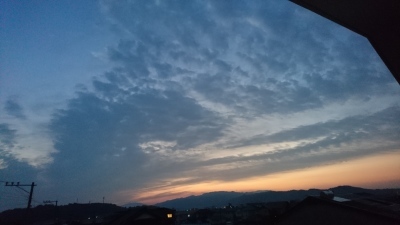 c0368903_06152423.jpg