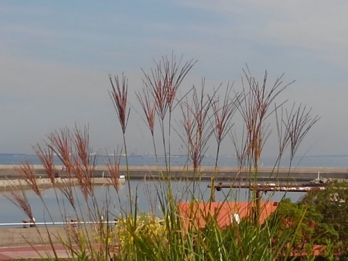 e0360409_13341475.jpg