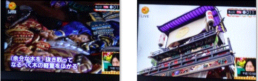 f0231709_10163430.gif