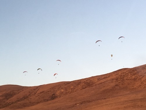 a0331910_08155081.jpeg