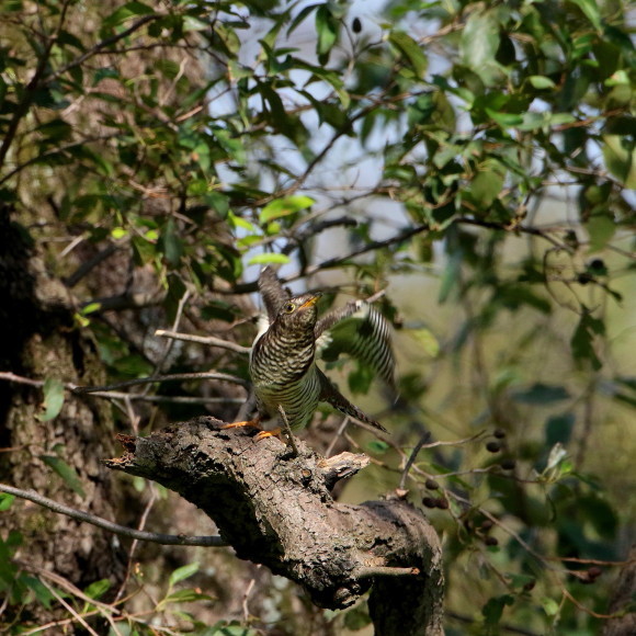 d0346713_09474094.jpg