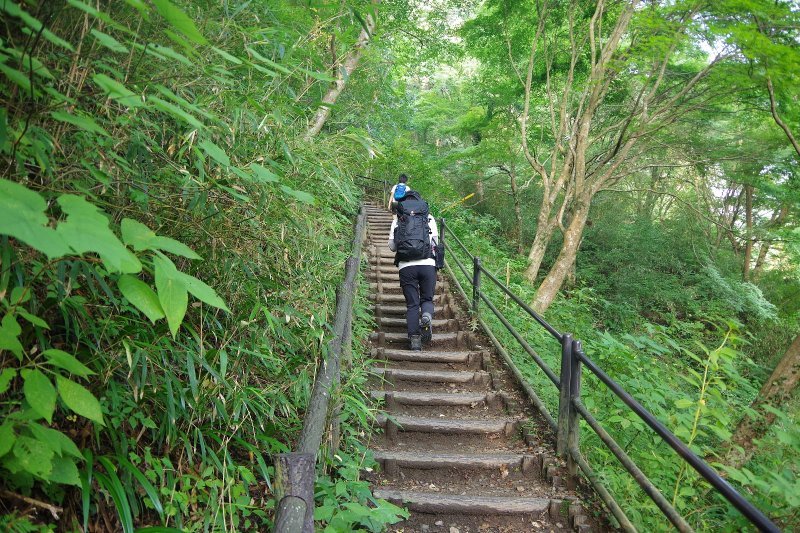 ７月は山に登れず～８月高尾山_a0165316_17350632.jpg