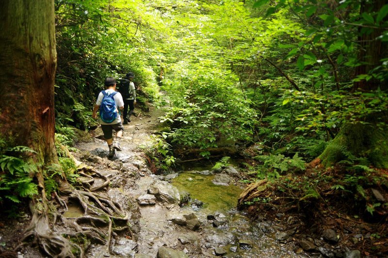 ７月は山に登れず～８月高尾山_a0165316_17364552.jpg