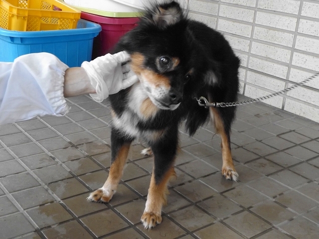 f0078320_00571284.jpg