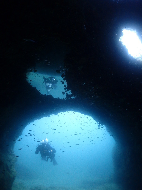 c0115421_20375530.jpg