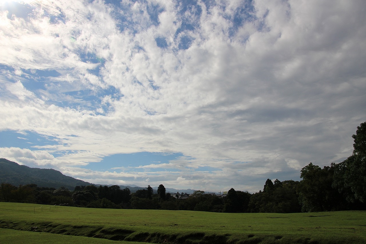 b0162728_10371769.jpg
