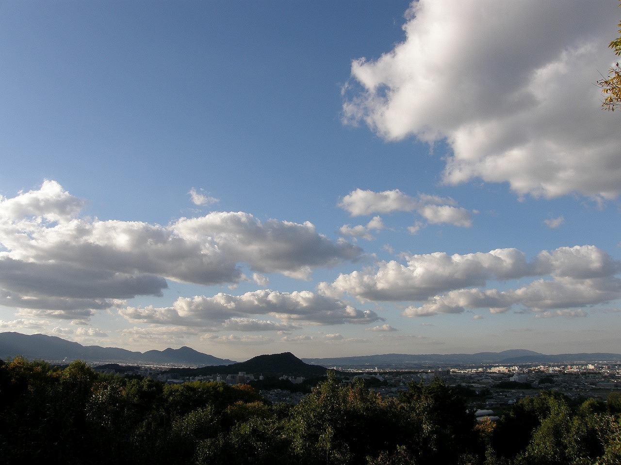 b0162728_10374915.jpg